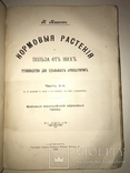 1906 Кормовые Растения редкая книга для Арендаторов, фото №9
