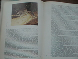 Тварини червоної книги 1990р., фото №7