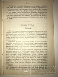 1904 Чукчи Тунгусы Этнография, фото №7