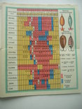 1966 Таблица рыбака календарь ловли, фото №3
