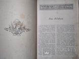 Собрания сочинений Шиллера. С комментариями и рисунками в тексте. 1901., фото №6