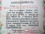 Благодарность За прорыв на реке Нейса и Эльба 1945г., фото №6