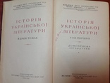 Історія української літератури в двох томах, фото №6