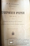 1891-1892 Салтыков Щедрин. Полное собрание сочинений, фото №6