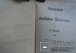 История литературы Германии ( на нем.языке)1900гг, фото №4