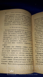 1883 Азбука домоводства, фото №12