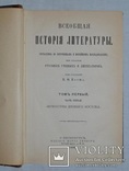 1880 г. "Всеобщая история лит." прижизненный Корш. В.Ф,, фото №4