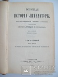 1880 г. "Всеобщая история лит." прижизненный Корш. В.Ф,, фото №7