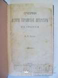 1884 р. Історія української літератури, фото №3