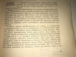 1914 Умение Хорошо Одеваться Подарок Женщине, фото №8