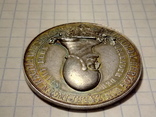 Настольная медаль Швейцария медаль Кантон Берн 1891г 700 лет Берну, фото №5