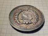 Настольная медаль Швейцария медаль Кантон Берн 1891г 700 лет Берну, фото №11