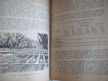 Довідник по садівництву 1970р., фото №9