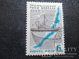 1966  Промысловые рыбы Байкала, фото №2