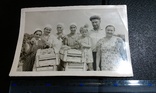 Сбор урожая 1959 год, Украина с.Громовка, фото №2