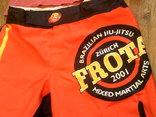Frota jiu-jitsu шорты + Independent футболка, фото №3