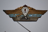 Значок ВДВ Дембельский , знак Отличия, звезда, фото №5