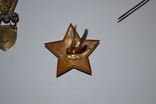 Значок ВДВ Дембельский , знак Отличия, звезда, фото №11