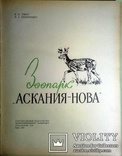 1960  Зоопарк в иллюстрациях. Аскания-Нова, фото №3