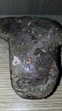 Античная глинянная голова. Раннее исламское искусство в Афганистане. X - XI век, фото №8