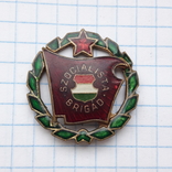 Венгрия Знак Социалистическая бригада, фото №2