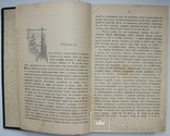 1903  Анненская А.Н. Зимние вечера. Рассказы для детей, фото №8