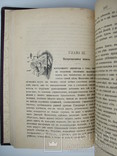 1903  Анненская А.Н. Зимние вечера. Рассказы для детей, фото №12