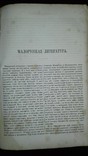 1871 Перше фундаментальне дослідження в ХІХ сторіччі укр пісень, критика літератури, фото №8