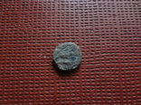 Монета Ольвии   (8.3.17)~, фото №5
