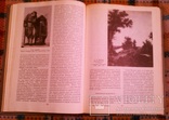 История Русского и Советского искусства. Москва 1989, фото №5