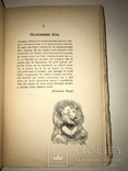 1920 Братья Маугли Украинская Книжка детская, фото №8