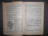 Лекарственные растения в народной медицине.1970 год., фото №7