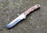 Нож Browning Whitetail Legacy, фото №3