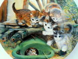 "Котята.Коты"декоративная коллекционная тарелка Германия фарфор, фото №5