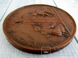 Настольная медаль Сдача крепостей Браилова Варны и других крепостей 1828 г,, фото №6
