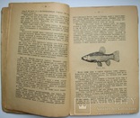 1928  Спутник рыболова-удильщика. Рождественский, Н., фото №8