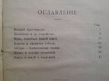 В Мире Миров. Картины Вселенной, ее настоящего, прошлого и будущего. 1914., фото №11