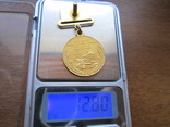Малая золотая медаль ВСХВ . Золото .(Выставка), фото №2