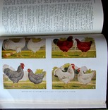 Унікальна книга "Колгоспна виробнича енциклопедія" 1952 2 томи(АЯ), фото №9