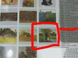 Cербутовский А.А. "Старе дерево" 22.5*28,5 см, фото №13