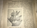 1925 Великий День Українських Хліборобів, фото №8