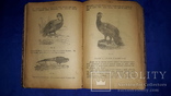 1899 Школа поварского и кондитерского искусства, фото №9