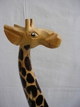 Жираф с дерева, photo number 3