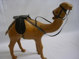 Кожаный верблюд, фото №2