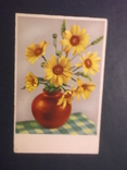 Цветы.5 открыток., фото №6