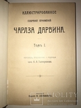 1909 Дарвин Купеческое Издание с золотым тиснением, фото №3