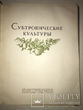 1940 Советская Парадная Книга Субтропики, фото №11