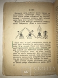 1930 Українська Книга про Ритмиці Авангард, фото №7