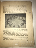 1930 Українська Книга про Ритмиці Авангард, фото №8