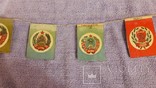Елочные старинные флажки - 15 республик и Карело -Финская ССР, фото №5